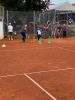 IMG_8169.jpeg